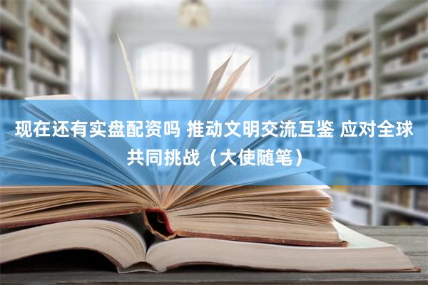 现在还有实盘配资吗 推动文明交流互鉴 应对全球共同挑战（大使随笔）