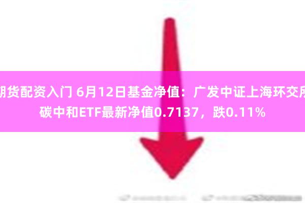 期货配资入门 6月12日基金净值：广发中证上海环交所碳中和ETF最新净值0.7137，跌0.11%