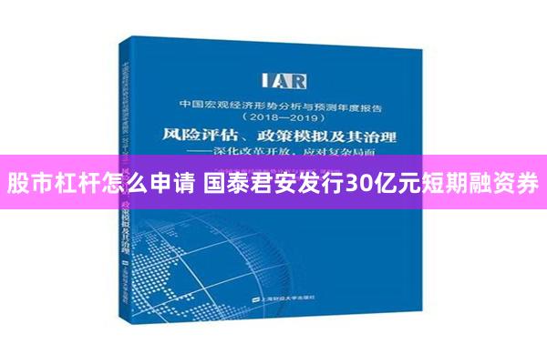 股市杠杆怎么申请 国泰君安发行30亿元短期融资券