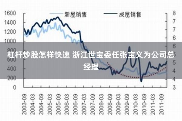 杠杆炒股怎样快速 浙江世宝委任张宝义为公司总经理