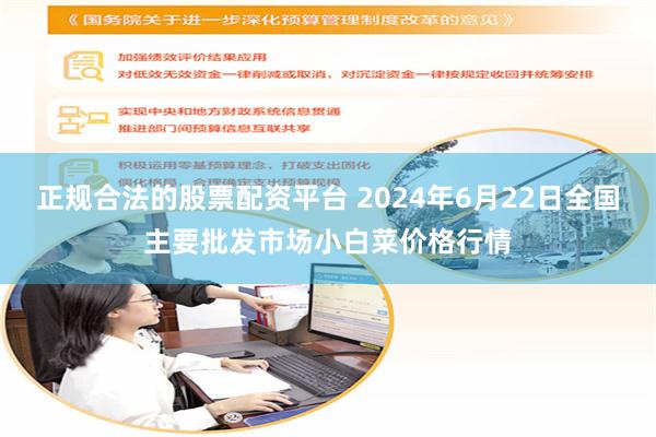 正规合法的股票配资平台 2024年6月22日全国主要批发市场小白菜价格行情