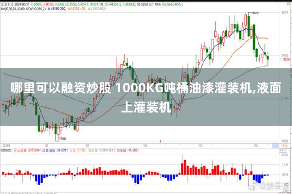 哪里可以融资炒股 1000KG吨桶油漆灌装机,液面上灌装机