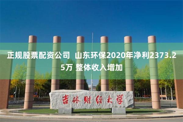 正规股票配资公司  山东环保2020年净利2373.25万 整体收入增加