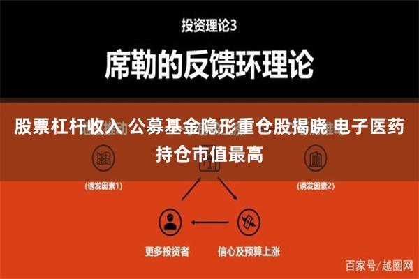 股票杠杆收入 公募基金隐形重仓股揭晓 电子医药持仓市值最高