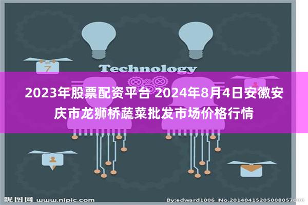 2023年股票配资平台 2024年8月4日安徽安庆市龙狮桥蔬菜批发市场价格行情