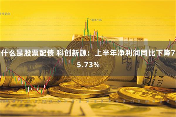 什么是股票配债 科创新源：上半年净利润同比下降75.73%