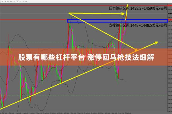 股票有哪些杠杆平台 涨停回马枪技法细解
