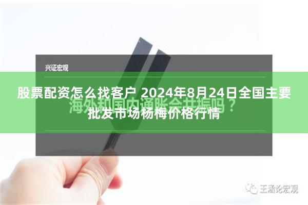 股票配资怎么找客户 2024年8月24日全国主要批发市场杨梅价格行情