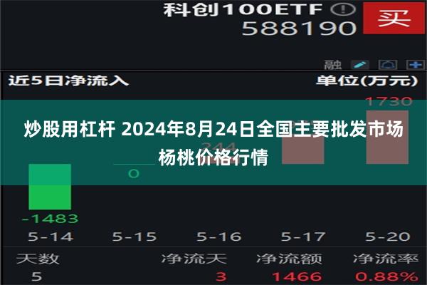 炒股用杠杆 2024年8月24日全国主要批发市场杨桃价格行情