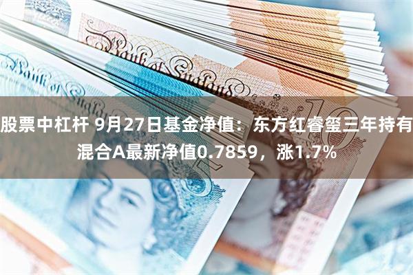 股票中杠杆 9月27日基金净值：东方红睿玺三年持有混合A最新净值0.7859，涨1.7%