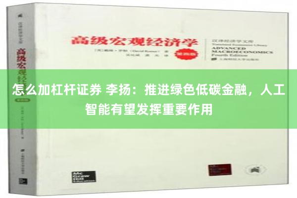 怎么加杠杆证券 李扬：推进绿色低碳金融，人工智能有望发挥重要作用