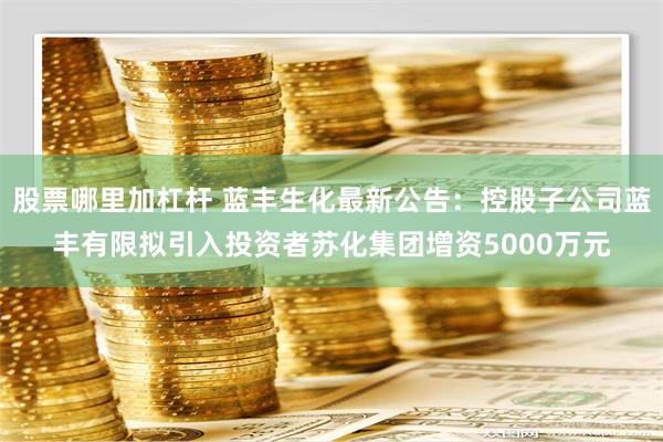 股票哪里加杠杆 蓝丰生化最新公告：控股子公司蓝丰有限拟引入投资者苏化集团增资5000万元