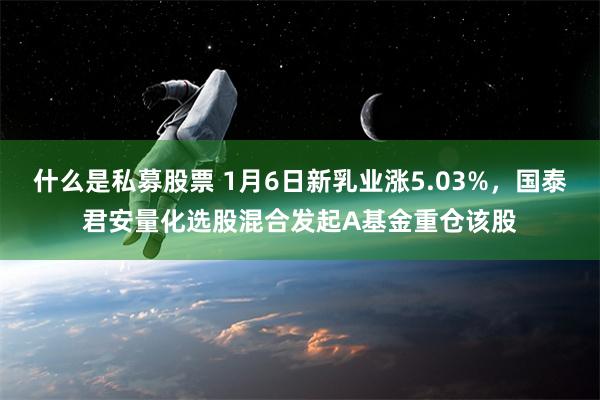 什么是私募股票 1月6日新乳业涨5.03%，国泰君安量化选股混合发起A基金重仓该股