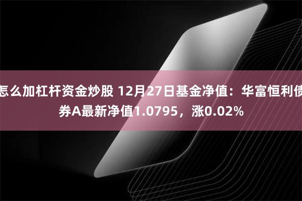 怎么加杠杆资金炒股 12月27日基金净值：华富恒利债券A最新净值1.0795，涨0.02%